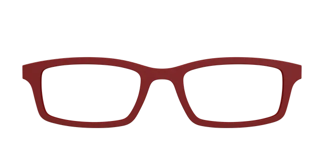 Pair Eyewear Burgundy top magnetico bordeaux Serra