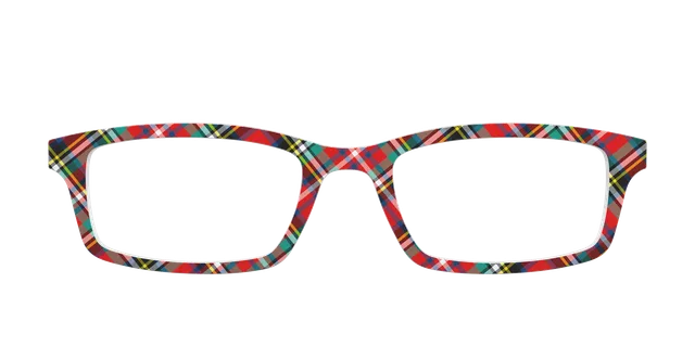 Pair Eyewear Design Tops The Winter Plaid top magnetico rosso