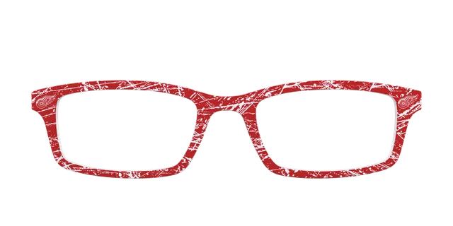 Pair Eyewear Red Wings Ice top magnetico rosso NHL