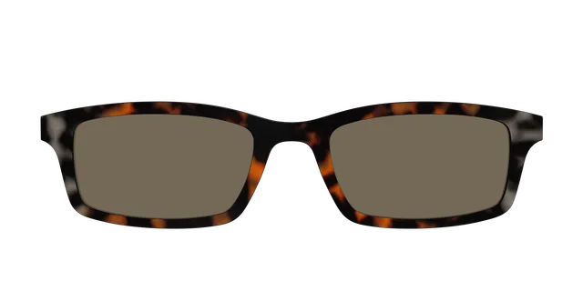 Pair Eyewear Sun Tops Polarized Gray Amber Tortoise clip sole