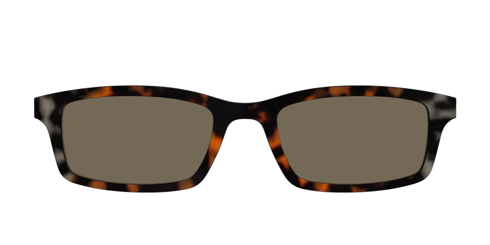 Pair Eyewear Sun Tops Polarized Gray Amber Tortoise clip sole