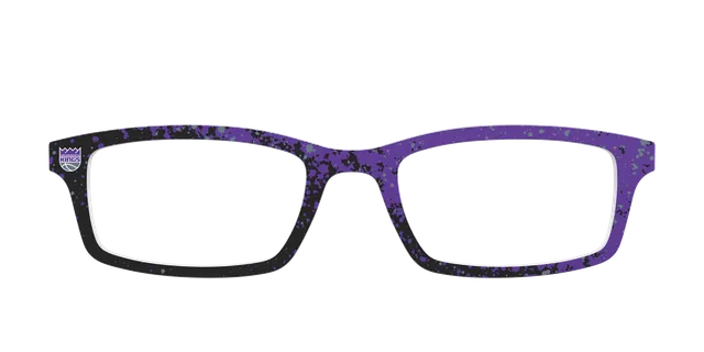 Pair Eyewear School Spirit The Kings Splatter top magnetico NBA