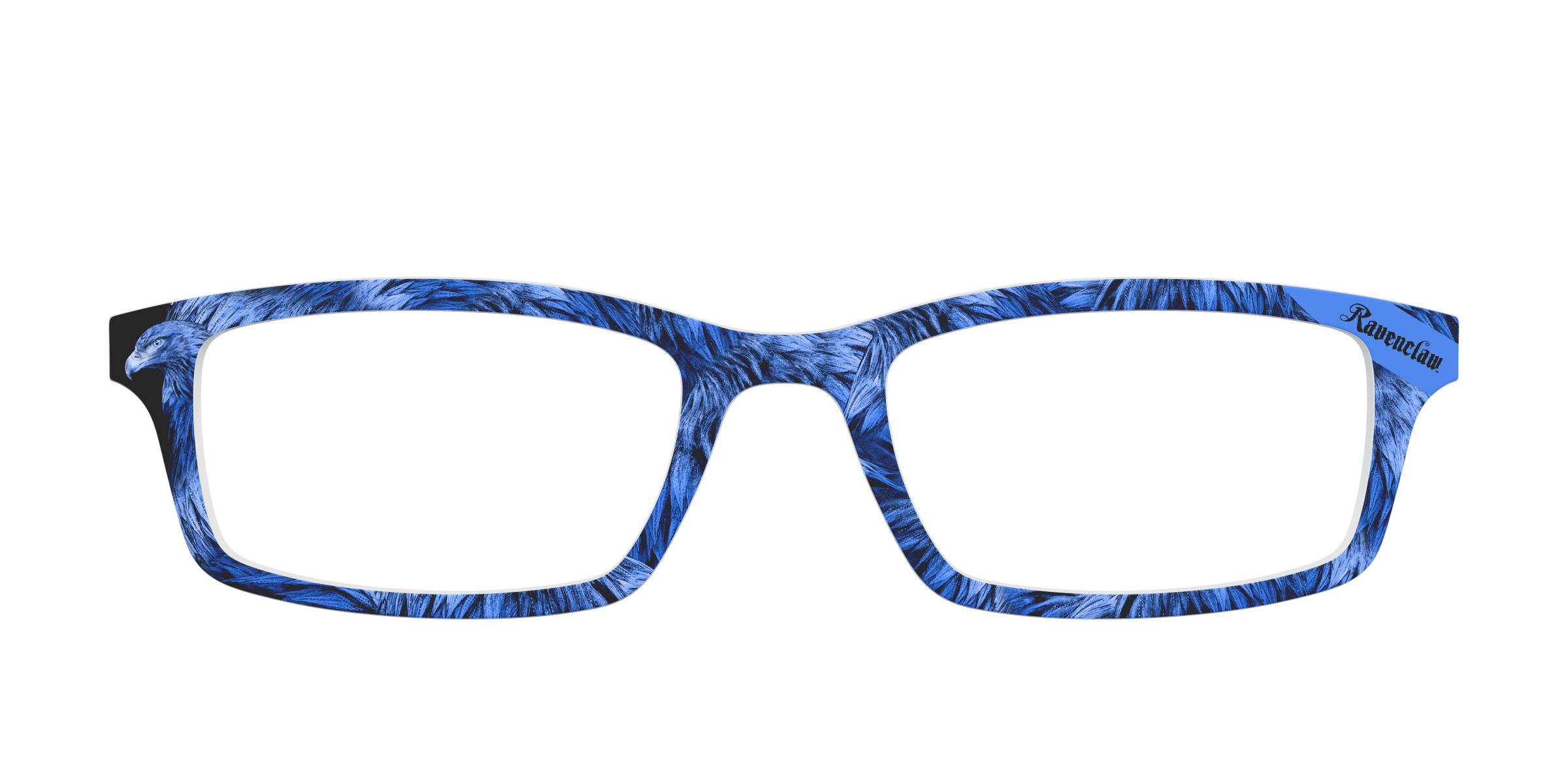 Pair Eyewear Collabs The Ravenclaw Eagle top magnetico HP26