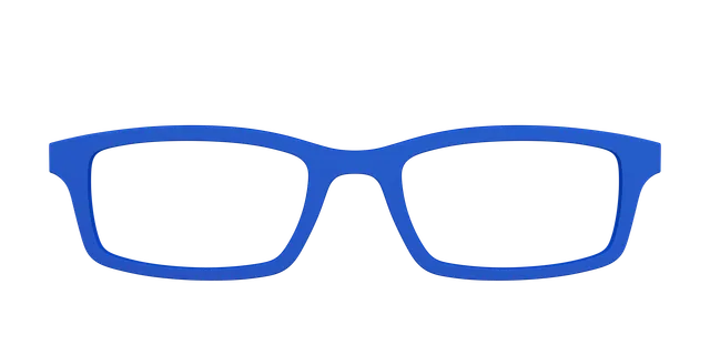 Pair Eyewear Solid Tops The Indigo top magnetico Serra