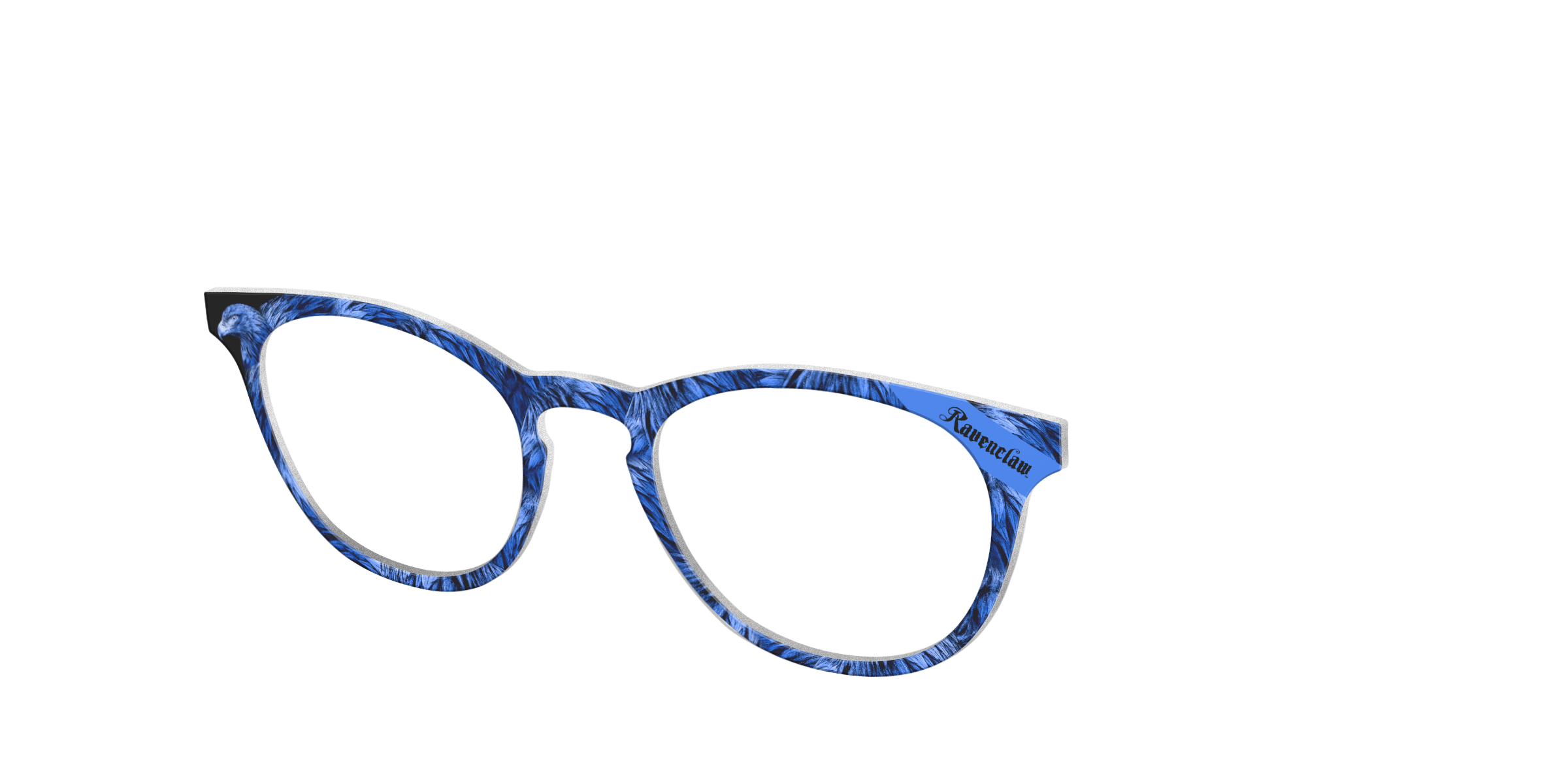 Pair Eyewear Collabs The Ravenclaw Eagle top magnetico HP26