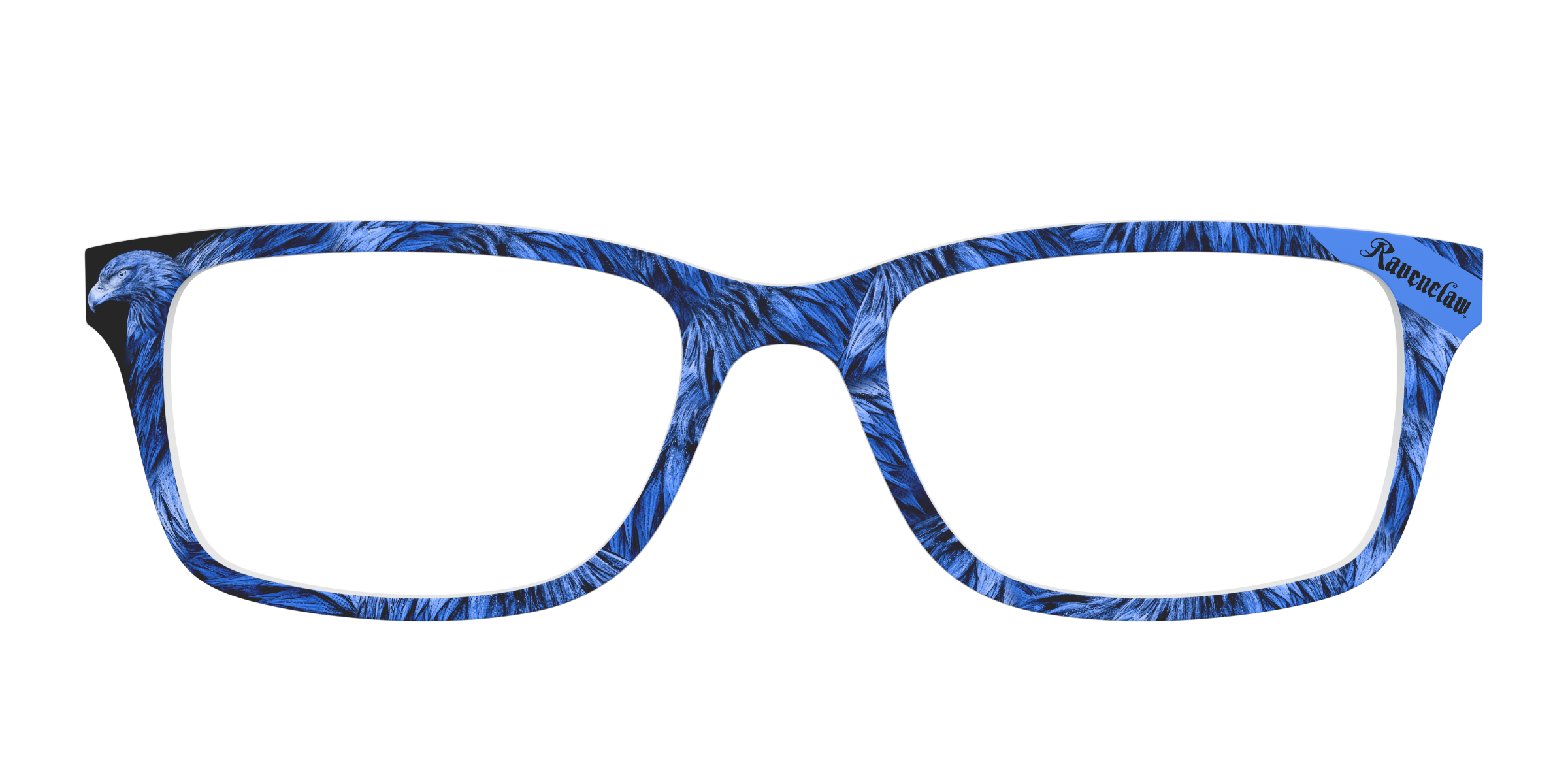 Pair Eyewear Collabs The Ravenclaw Eagle top magnetico HP26