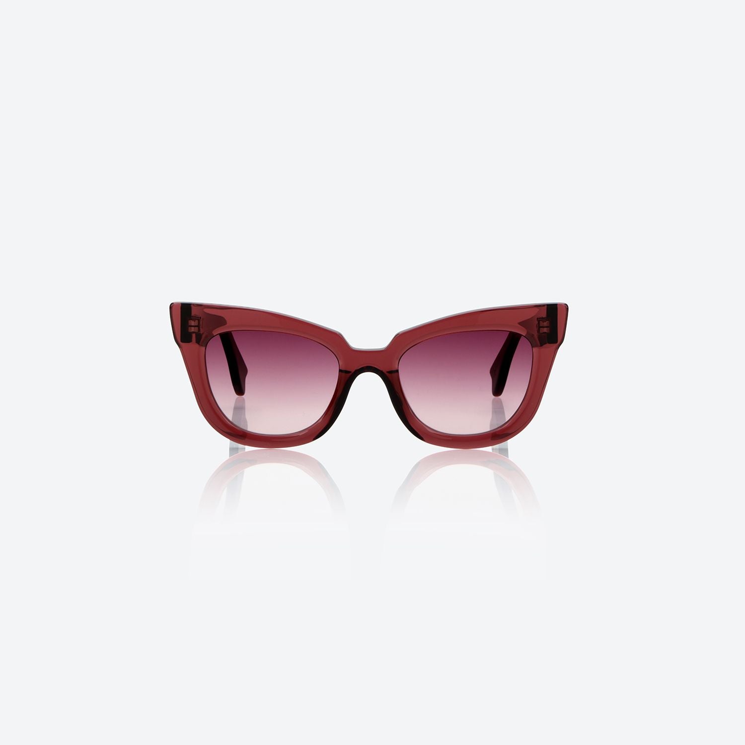 Monokol Present Tense MK278 C41 occhiali da sole cat eye