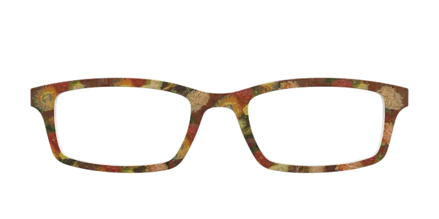 Pair Eyewear Collabs The Vase top magnetico Van Gogh