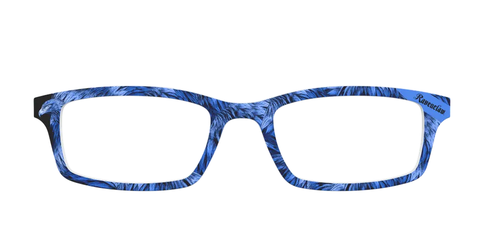 Pair Eyewear Collabs The Ravenclaw Eagle top magnetico HP26