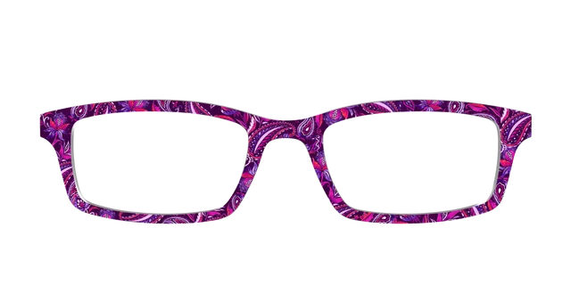Pair Eyewear Design Tops Aubergine Paisley top magnetico AT21