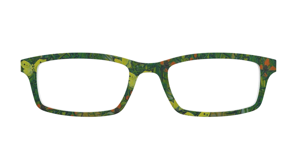 Pair Eyewear Butterflies and Poppies top magnetico floreale