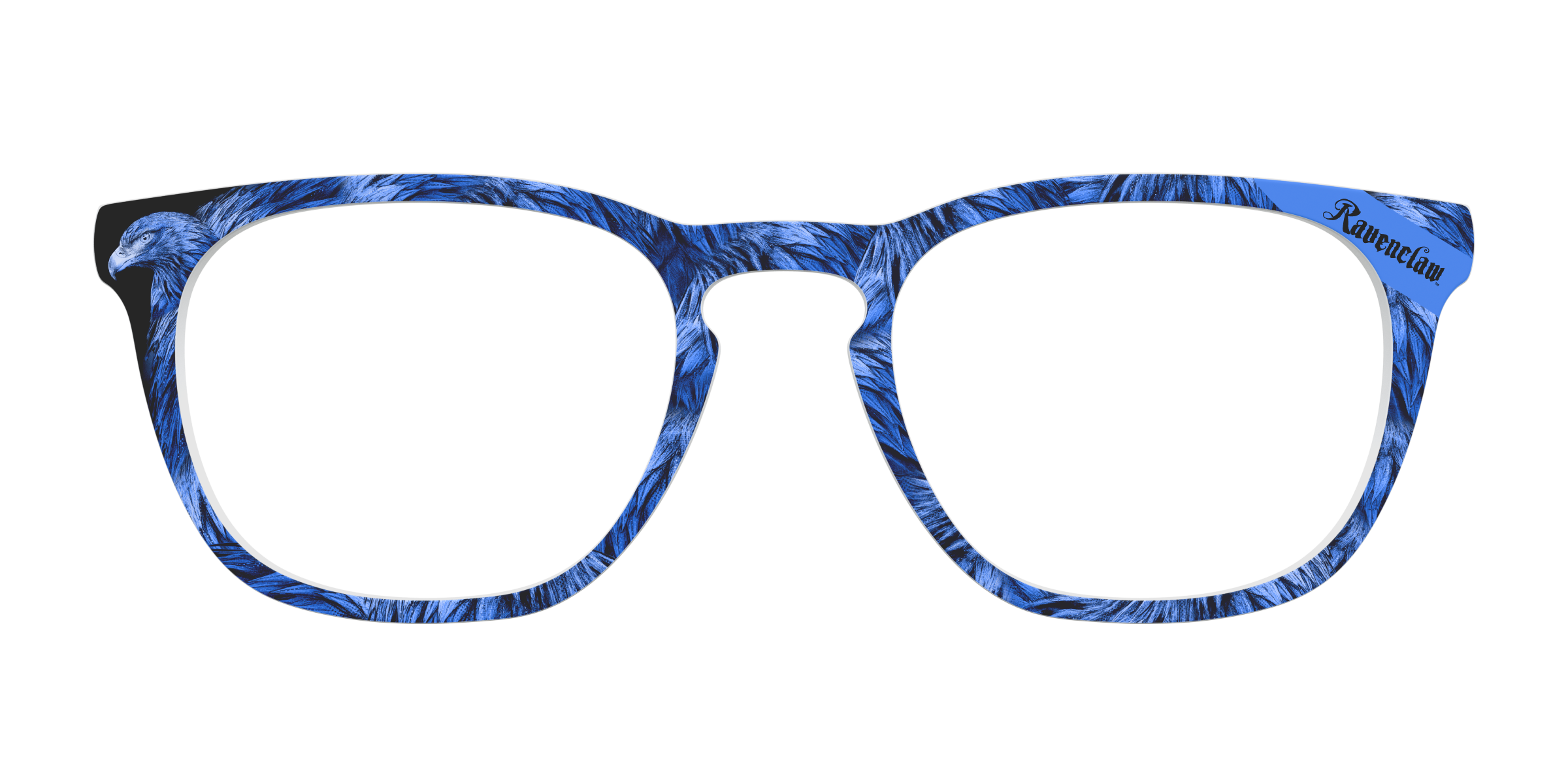 Pair Eyewear Collabs The Ravenclaw Eagle top magnetico HP26