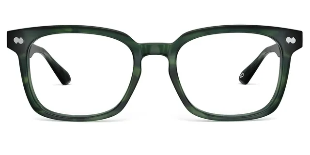Pair Eyewear Iverson Forte montatura occhiali verde argento