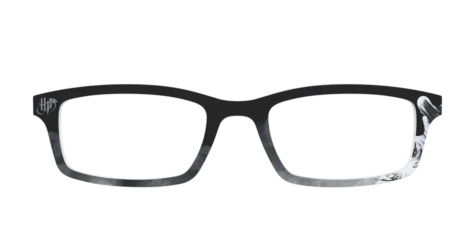 Pair Eyewear Collabs The Dementors top magnetico HP17