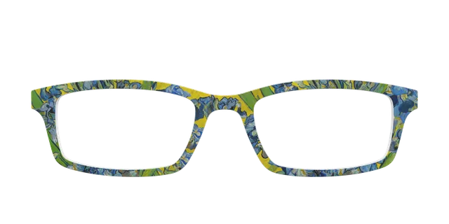 Pair Eyewear Collabs The Irises top magnetico VG11