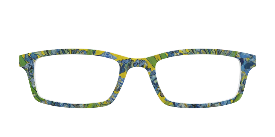 Pair Eyewear Collabs The Irises top magnetico VG11