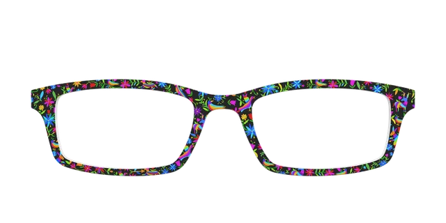 Pair Eyewear Collabs The Animals of Casa Azul top occhiali