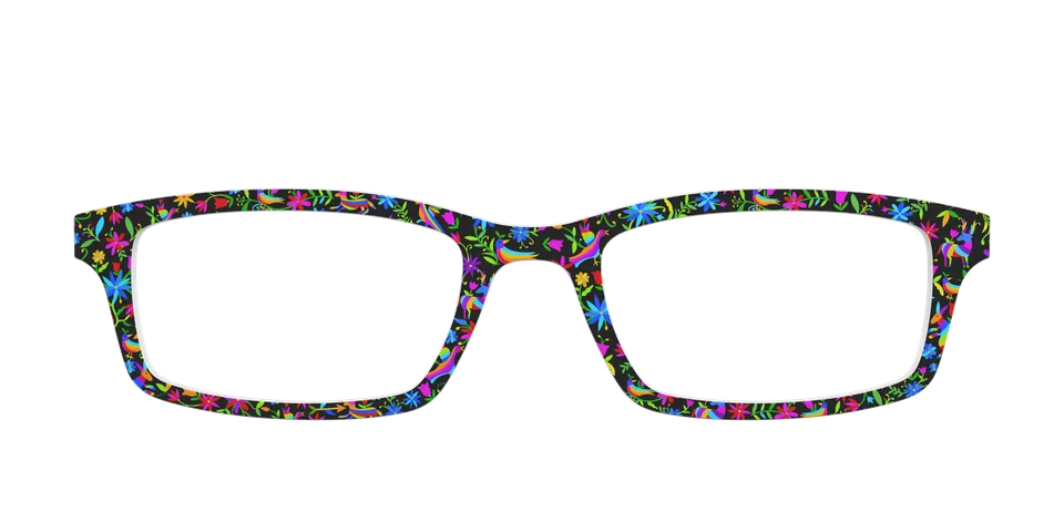 Pair Eyewear Collabs The Animals of Casa Azul top occhiali