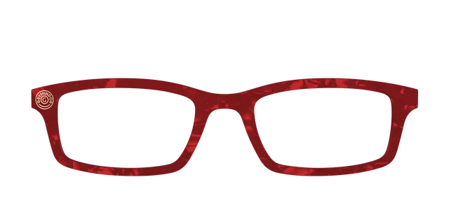 Pair Eyewear Collabs Gryffindor Pearl Tortoise Topper Cedro
