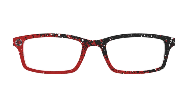 Pair Eyewear School Spirit The Raptors Splatter top magnetico NBA