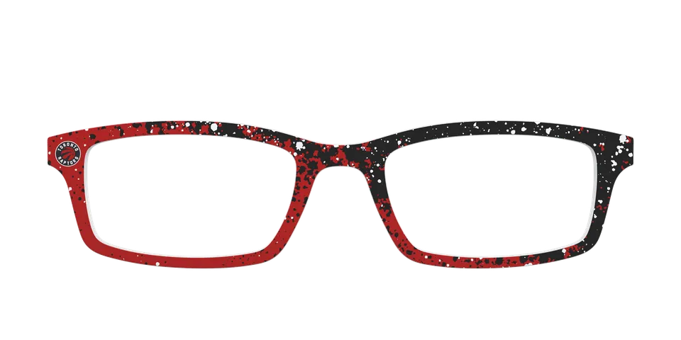 Pair Eyewear School Spirit The Raptors Splatter top magnetico NBA