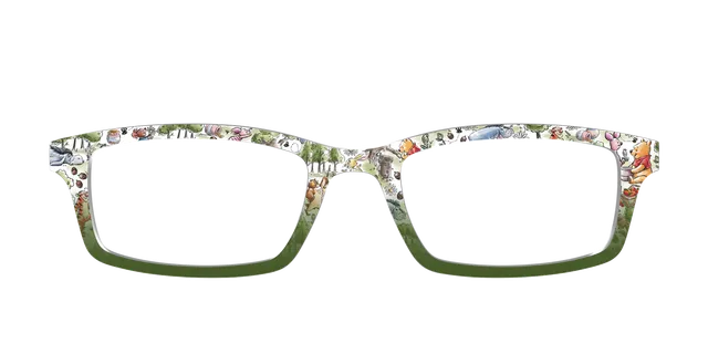 Pair Eyewear Collabs Hundred Acre Woods top magnetico